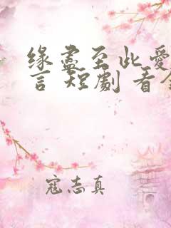 缘尽至此爱不再言 短剧 看全集