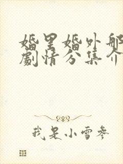 婚里婚外那些事剧情分集介绍