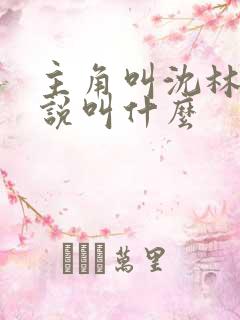主角叫沈林的小说叫什么