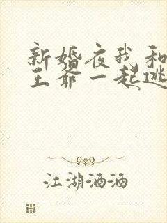 新婚夜我和病娇王爷一起逃婚苏清染