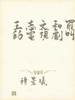 王志文和罗晋演的电视剧叫什么名字