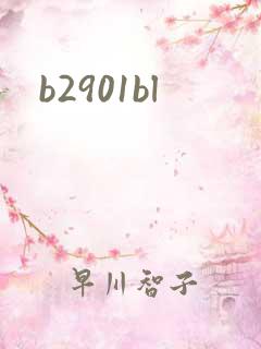 b2901bl