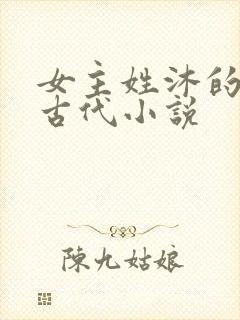 女主姓沐的重生古代小说
