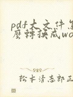 pdf大文件怎么转换成word文件