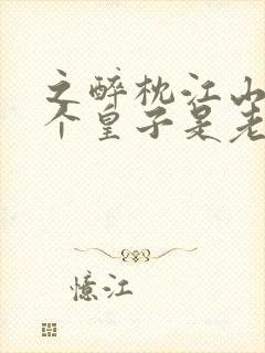 之醉枕江山,这个皇子是老六