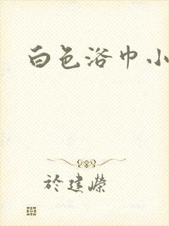 白色浴巾小说