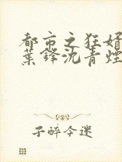 都市之狂婿战神叶锋沈青烟