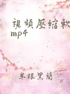 视频压缩软件 mp4