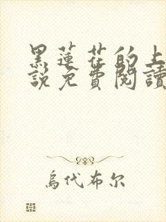 黑莲花的上位小说免费阅读