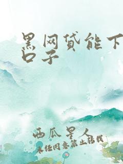 黑网贷能下款的口子