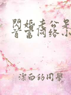 闪婚老公是千亿首富网络小说