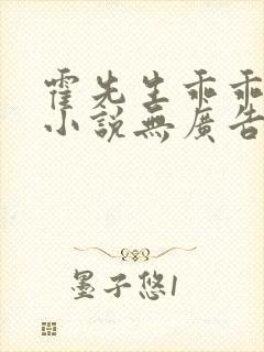 霍先生乖乖宠我小说无广告