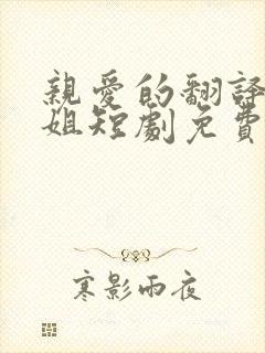 亲爱的翻译官小姐短剧免费观看