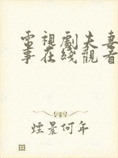 电视剧夫妻那些事在线观看全集