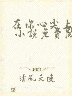 在你心尖上起舞 小说免费阅读