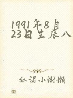1991年8月23日生辰八字