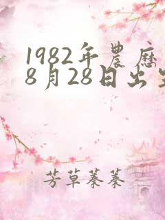 1982年农历8月28日出生命运