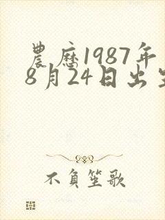 农历1987年8月24日出生八字算命