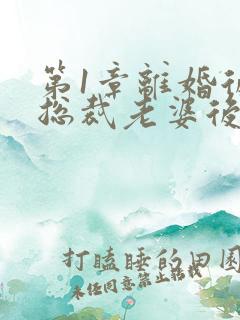 第1章离婚后,总裁老婆后悔了