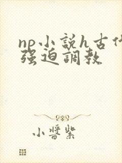 np小说h古代强迫调教