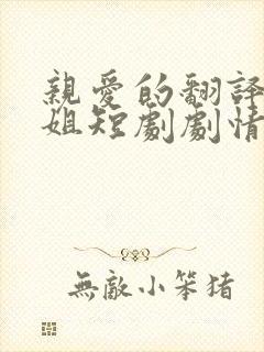 亲爱的翻译官小姐短剧剧情