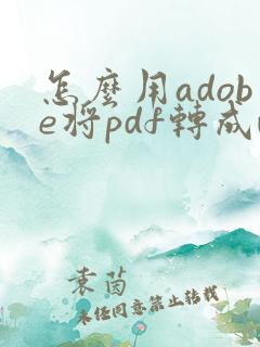 怎么用adobe将pdf转成word