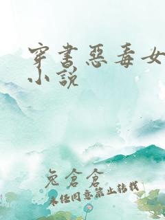穿书恶毒女配的小说