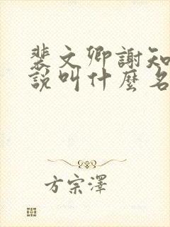 裴文卿谢知雪小说叫什么名字
