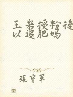 玉米授粉后还可以追肥吗