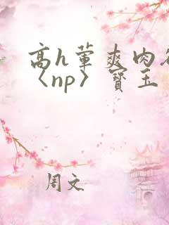 高h荤爽肉欲文〈np〉宝玉