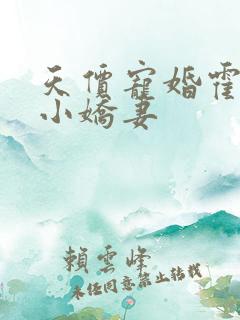 天价宠婚霍总是小娇妻