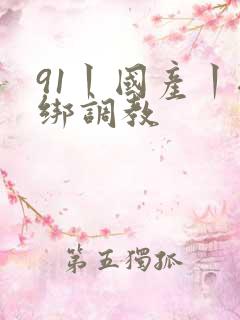 91丨国产丨捆绑调教