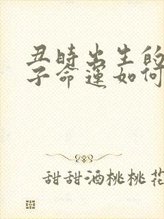 丑时出生的男孩子命运如何