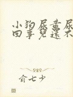 小狗尿黄尿怎么回事儿还不吃东西