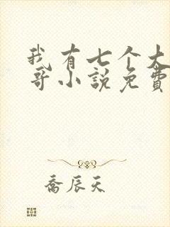 我有七个大佬哥哥小说免费阅读无弹窗