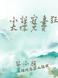 小说宠妻狂魔别太坏免费