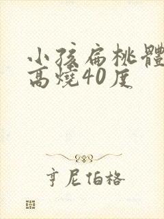 小孩扁桃体化脓高烧40度