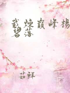 武炼巅峰杨开和碧落