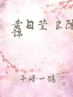 黄日莹 良陈美锦