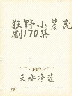 狂野小农民电视剧170集
