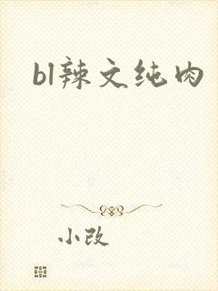 bl辣文纯肉