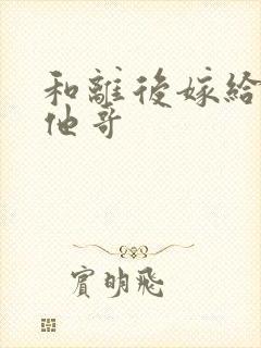 和离后嫁给前夫他哥