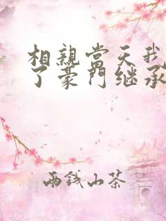 相亲当天我闪婚了豪门继承人