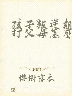 孩子叛逆期动手打父母怎么办