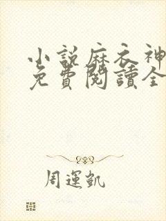 小说麻衣神算子免费阅读全文