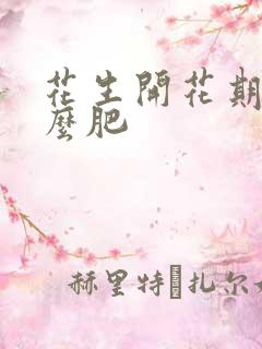 花生开花期用什么肥