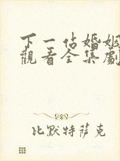 下一站婚姻免费观看全集剧情