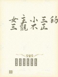 女主小三的小说三观不正