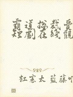霸道总裁爱上我短剧在线观看免费高清