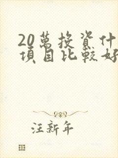 20万投资什么项目比较好